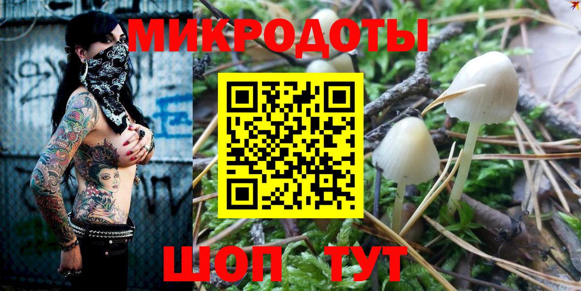Галлюциногенные грибы Psilocybe Ялта