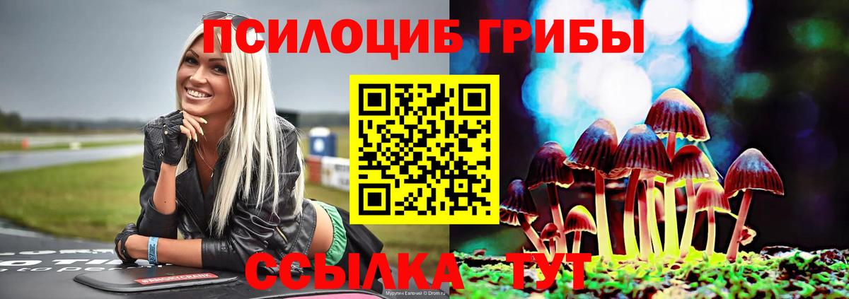 Галлюциногенные грибы Psilocybe  Вход с VPN  Ялта  Галлюциногенные грибы MAGIC MUSHROOMS 